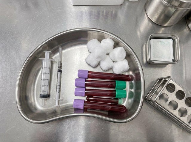 Análisis de sangre para mascotas en Ourense: cuidamos de su salud - Imagen 1