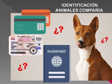 ¿DNI PARA ANIMALES DE COMPAÑÍA?