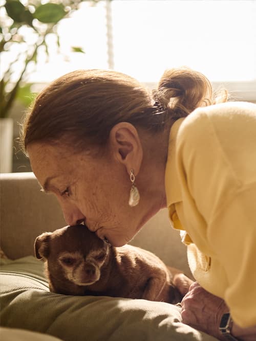 Perro y gato asegurados en la clínica veterinaria Tecsagés de Ourense