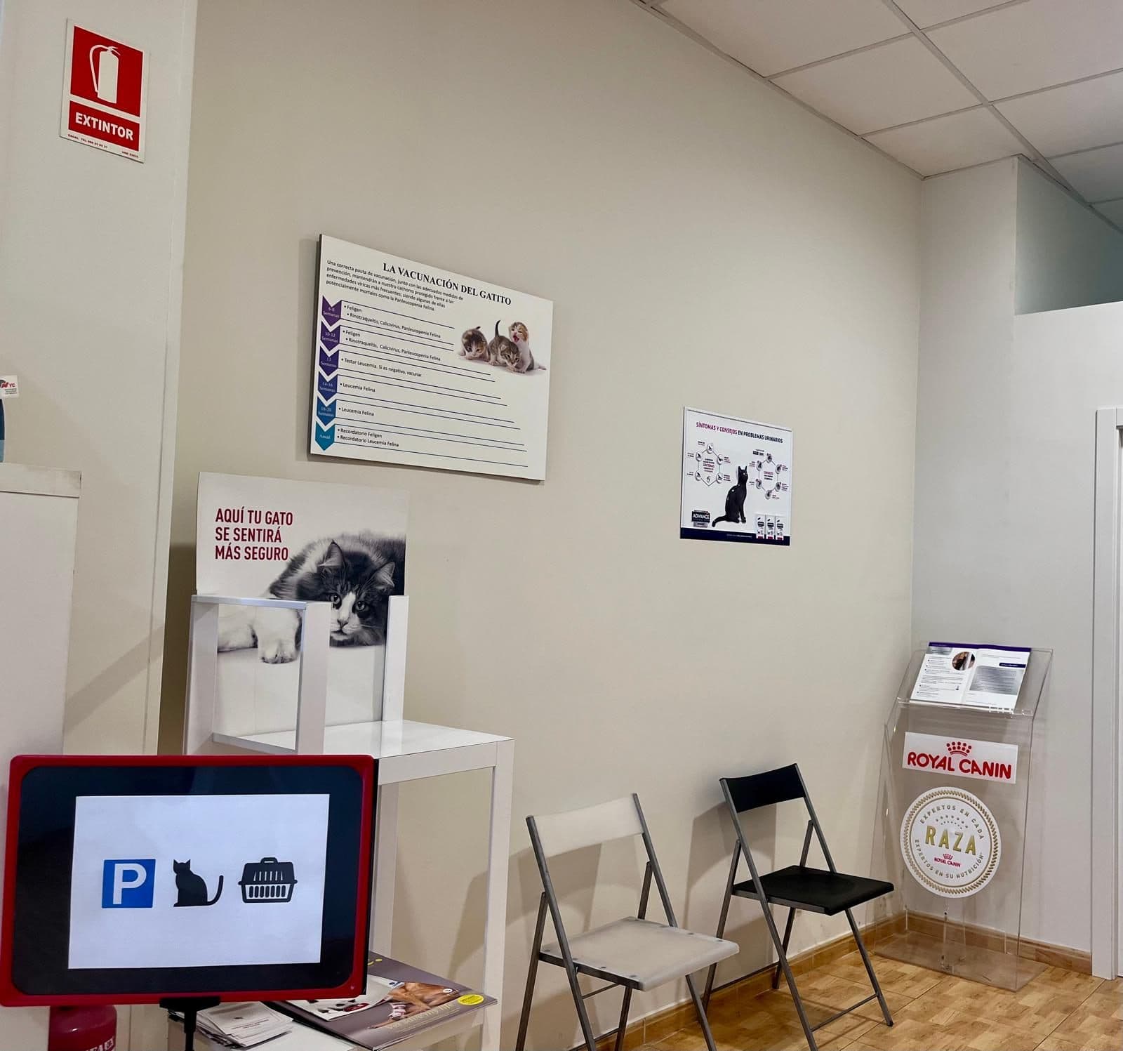 Zona de espera adaptada para gatos en la clínica veterinaria de Ourense