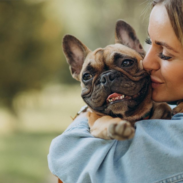 ¡Protege a tu mascota por 99 € al año!