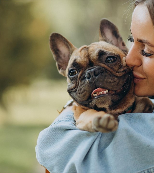 ¡Protege a tu mascota por 99 € al año!